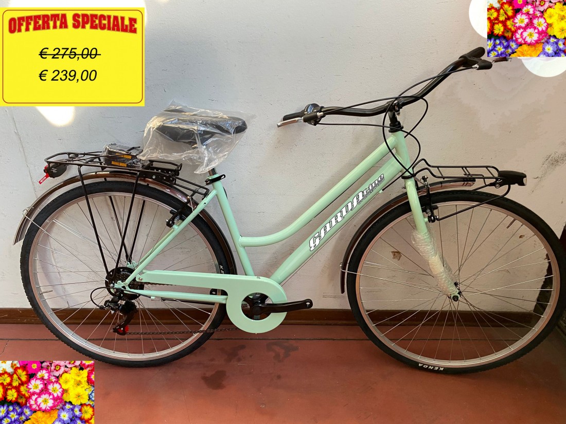 CITYBIKE DONNA ACCIAIO