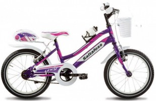 Peso: 10 kg
Mountain bike bimba dotata di bauletto posteriore, cestino anteriore, campanello e borraccia